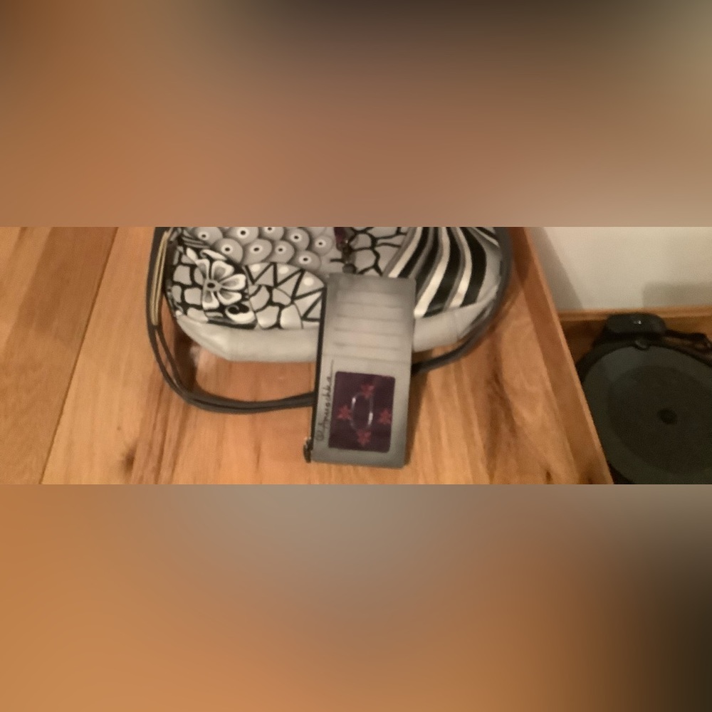 Annuschka bag demonstration purse